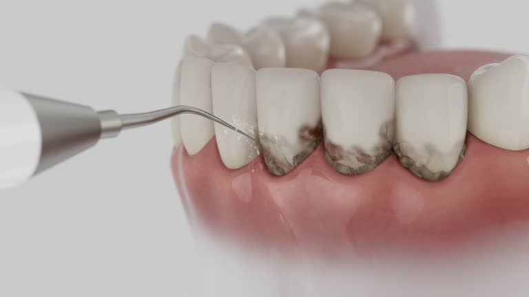 Reliable Dental contractor in South Kensington, MD by Dentist Open Now